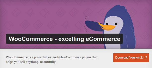 WooCommerce WordPress Plugin