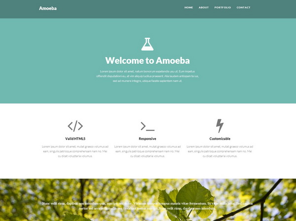 Amoeba One Page Bootstrap Template