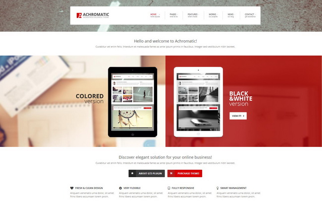 Achromatic Business WordPress Theme
