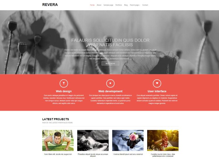 Revera WordPress Theme