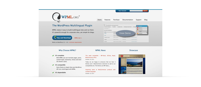 WPML plugin