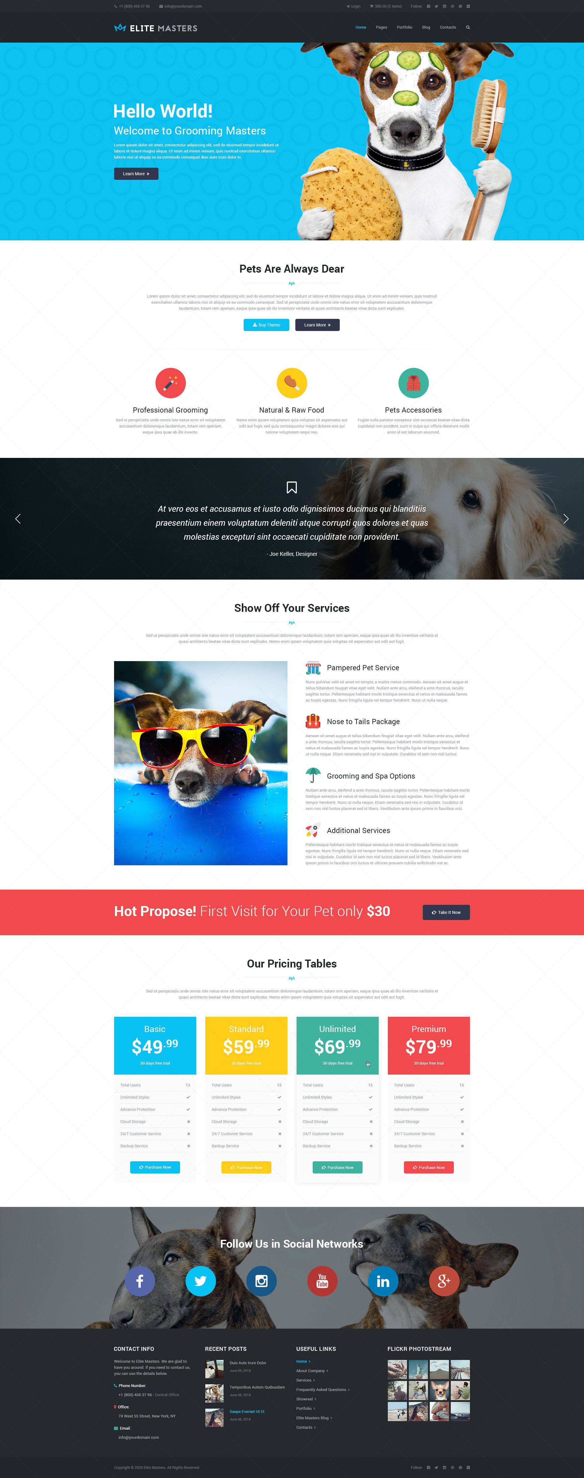 Pets-grooming-page-design