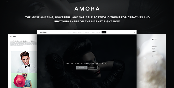 amora-creative-responsive-multiconcept-theme