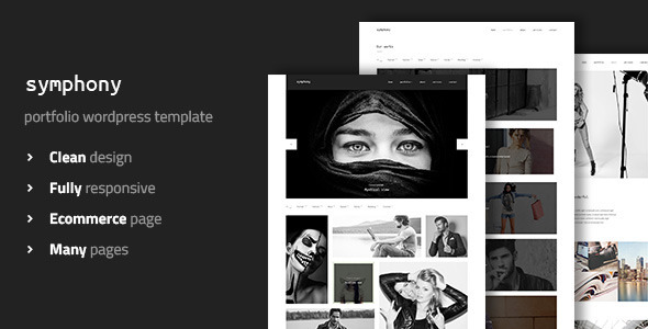 symphony-clean-photography-wordpress-template